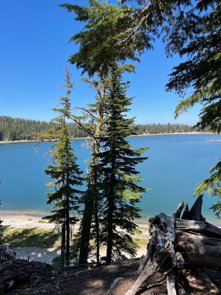 Adventure photo from Three Creek Lake