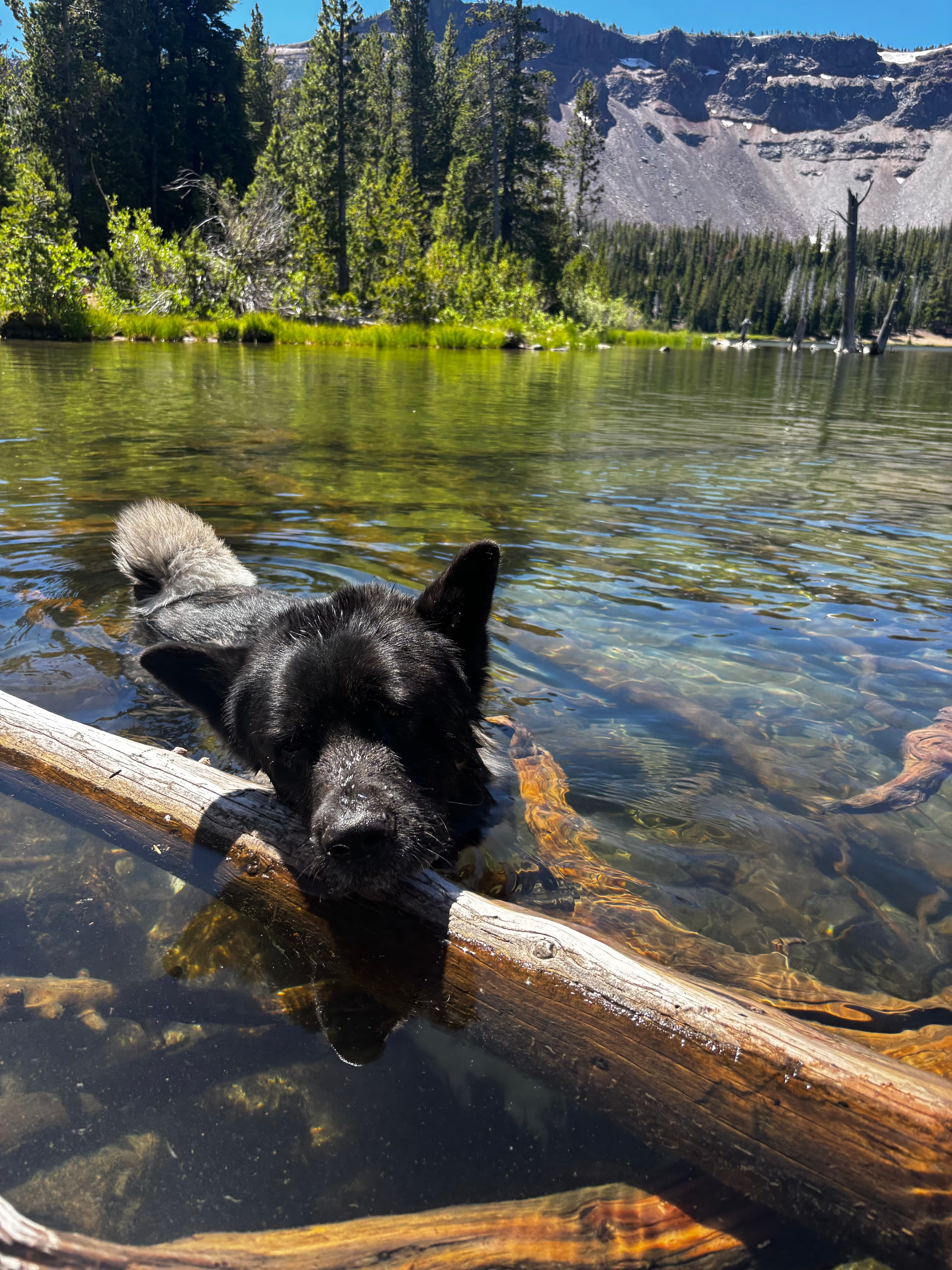 Adventure photo from Three Creek Lake 3